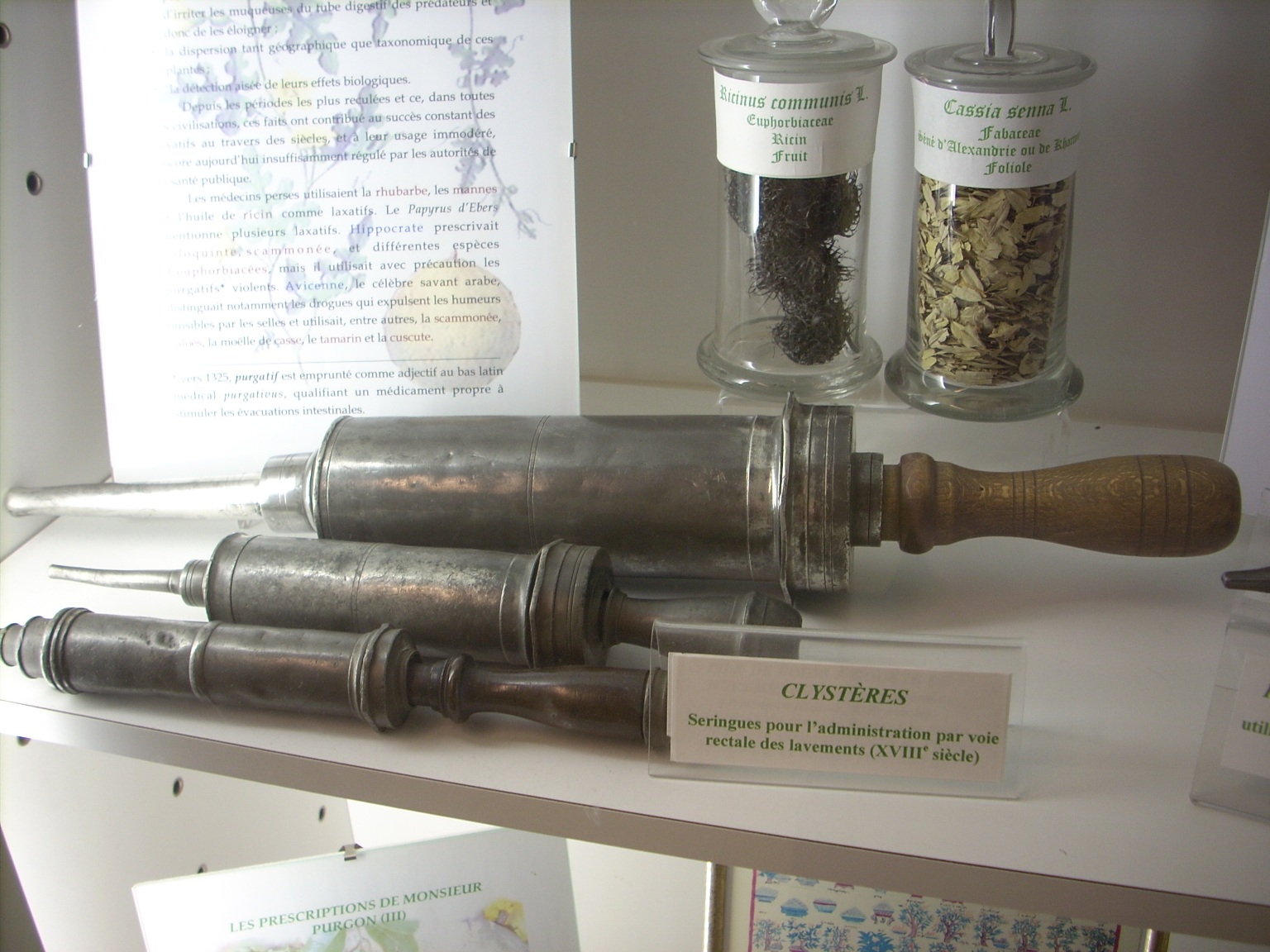 Musée des plantes médicinales et de la Pharmacie, ULB, Brussels (1).JPG